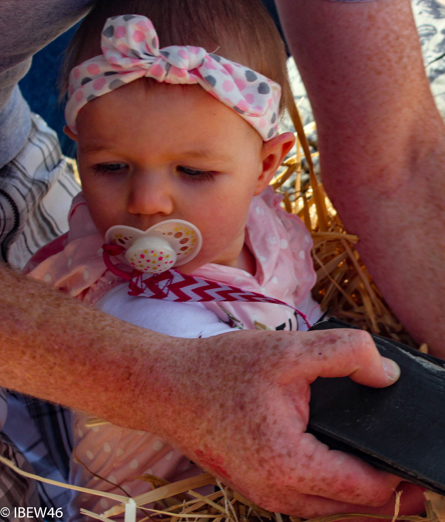 2012_Seattle_Picnic-54.jpg
