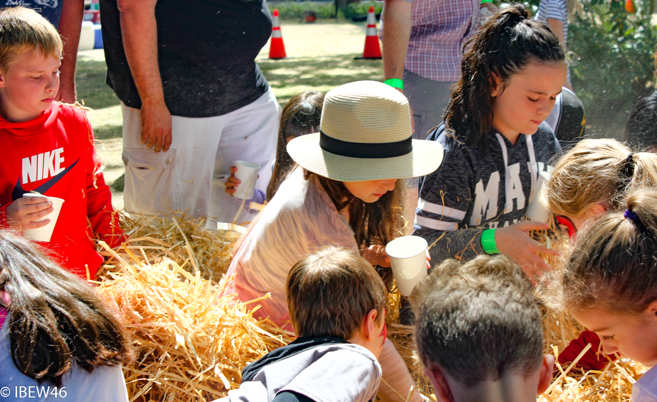 2012_Seattle_Picnic-67.jpg (1)