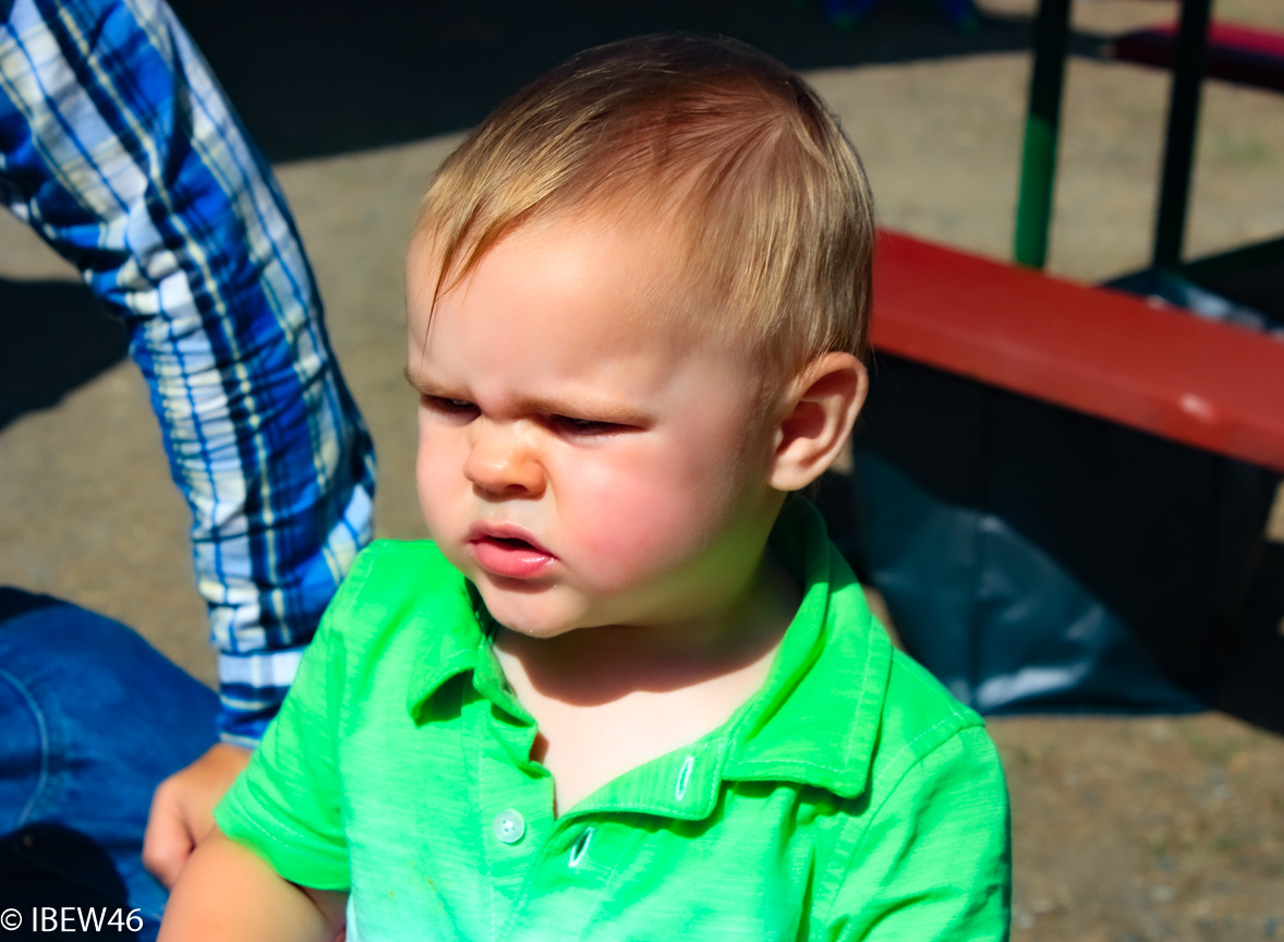 2012_Seattle_Picnic-127.jpg (1)