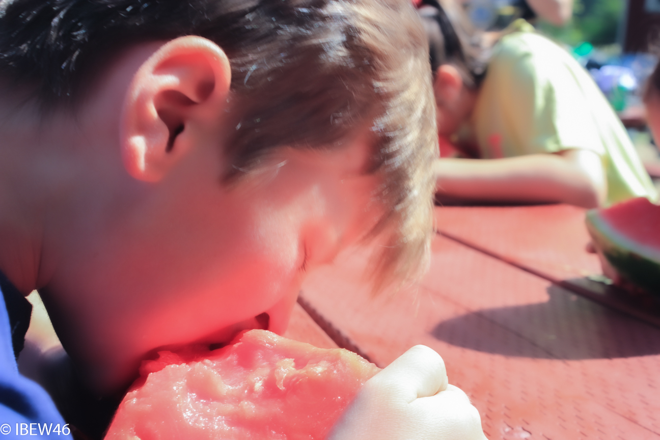 2012_Seattle_Picnic-149.jpg (1)