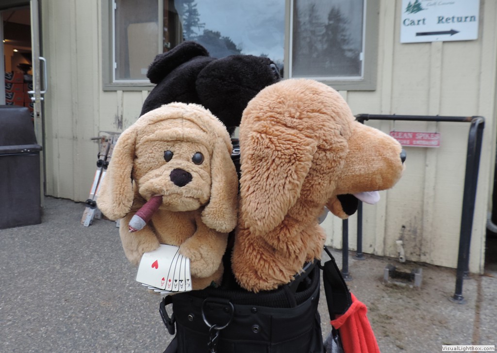 dscn1829.jpg