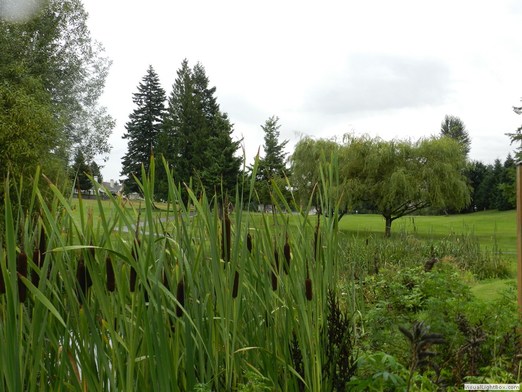 dscn1885.jpg