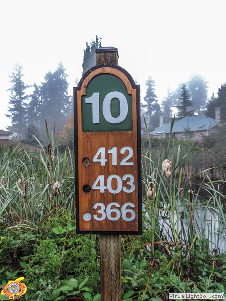 2014_golf_8_of_55.jpg